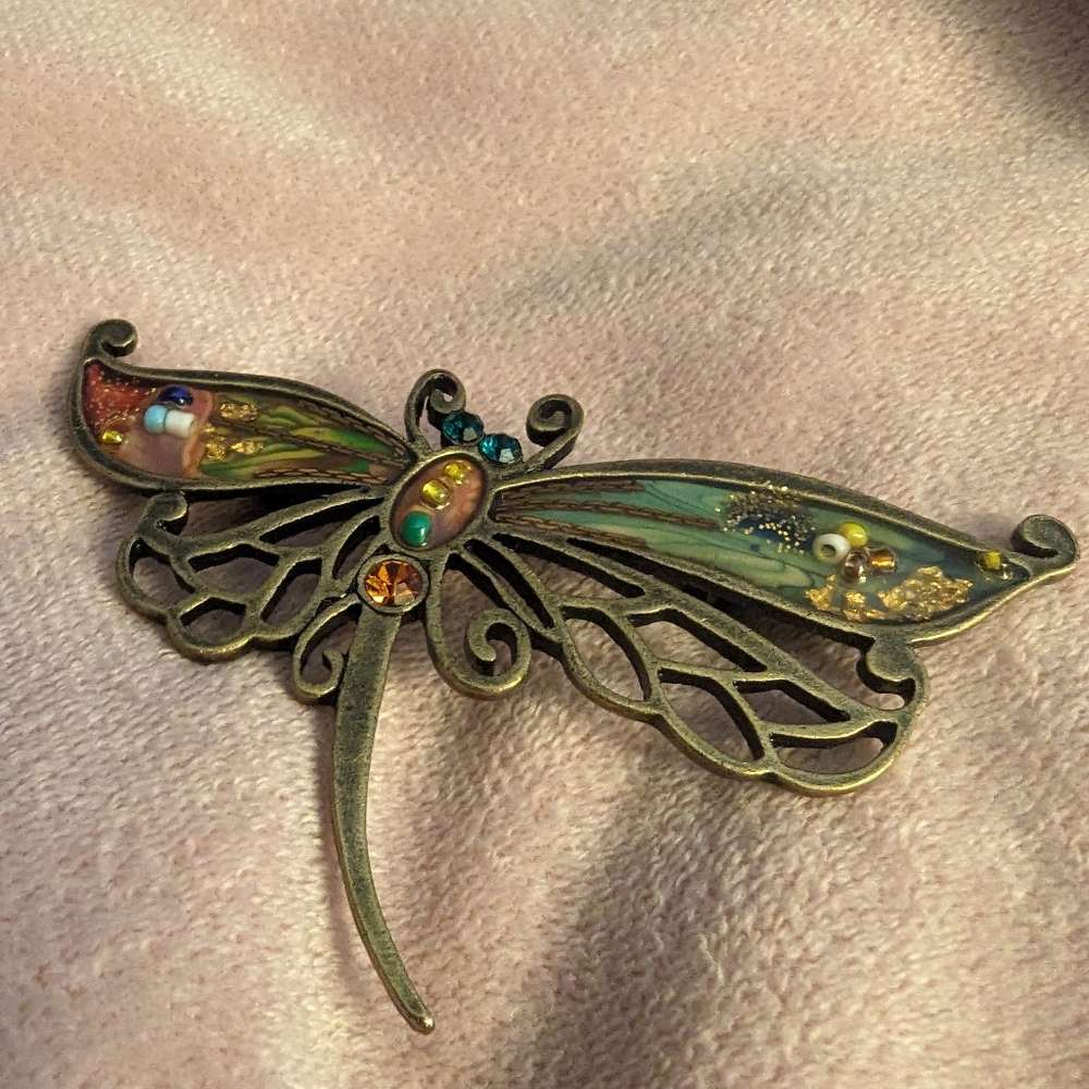 Dragonfly broach/pin
